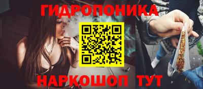 ECSTASY Можга