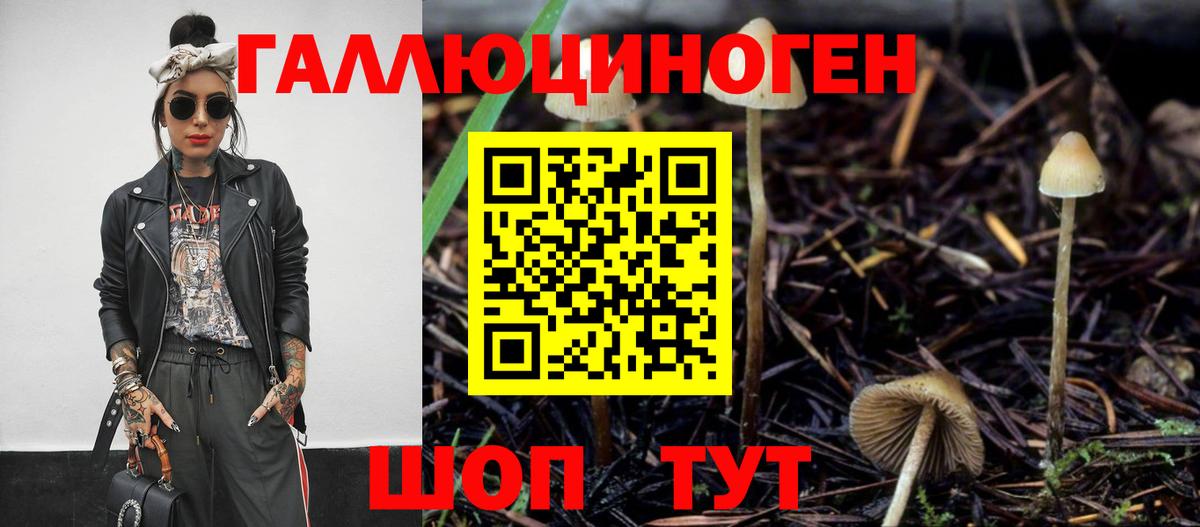 Псилоцибиновые грибы Cubensis  цены   Славгород  Вход с VPN 