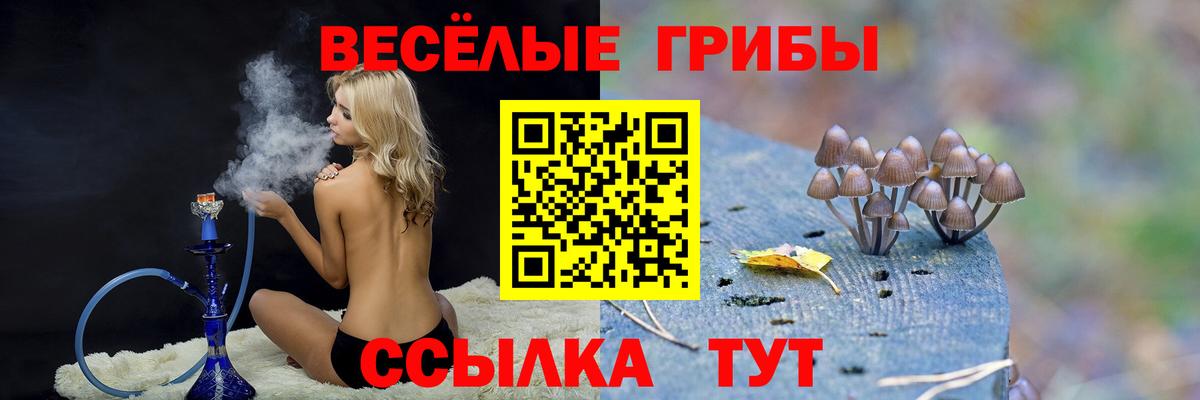 Псилоцибиновые грибы GOLDEN TEACHER Славгород